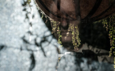 портрет ветра